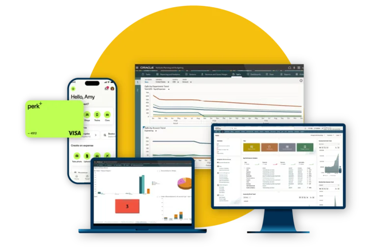 We consult your business with ERP & EPM Software